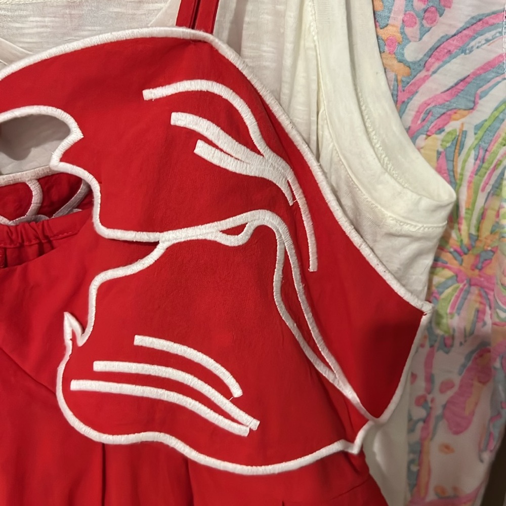 Embroidered Koi Fish Cami Dress
COLOR - Red, Size Medium - Picture 4 of 7